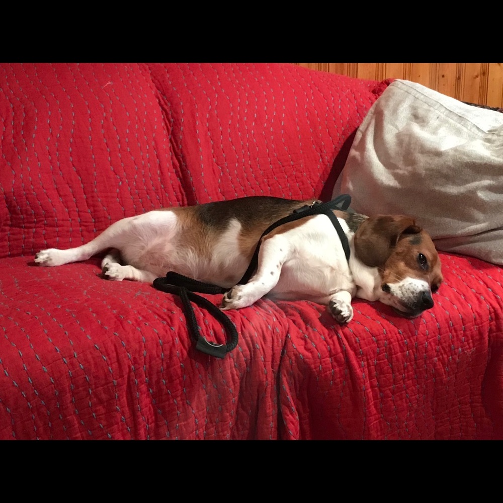 Meet your Posher, Victoria